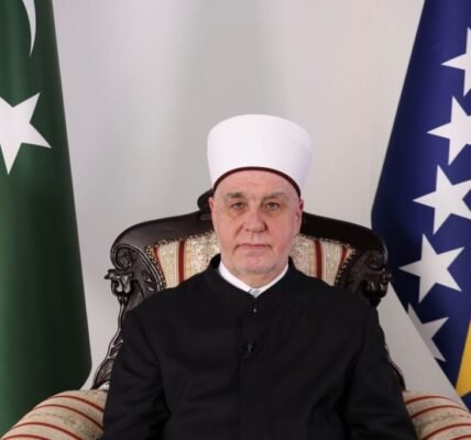 Reis Kavazovic MINA 1024x683