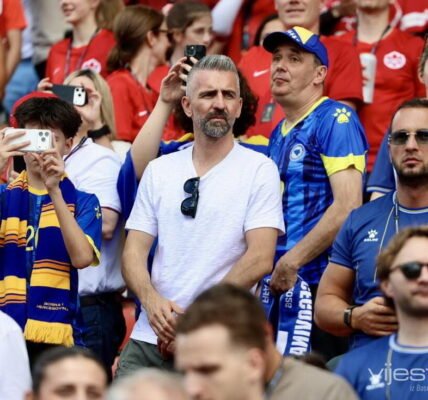 Ibisevic