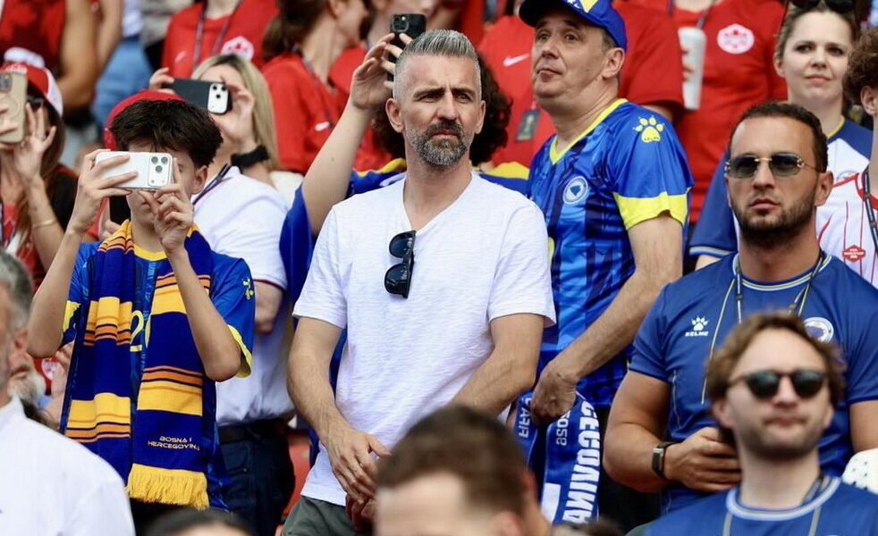 Ibisevic
